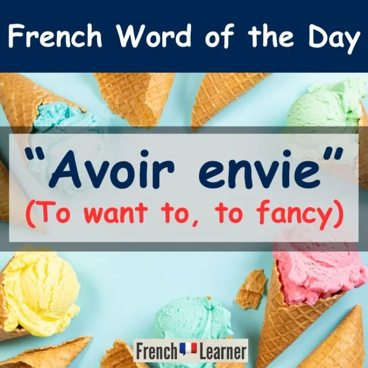 Avoir envie de – To want, to fancy