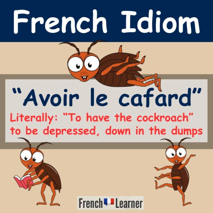 French Idiom: Avoir Le Cafard (To Be Down In The Dumps)