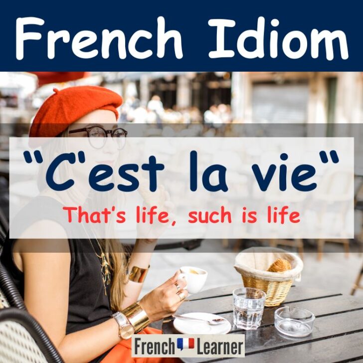C’est La Vie French Meaning, Translation & Pronunciation