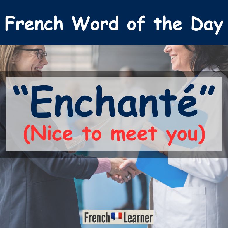 Enchanté = Nice to meet you in French