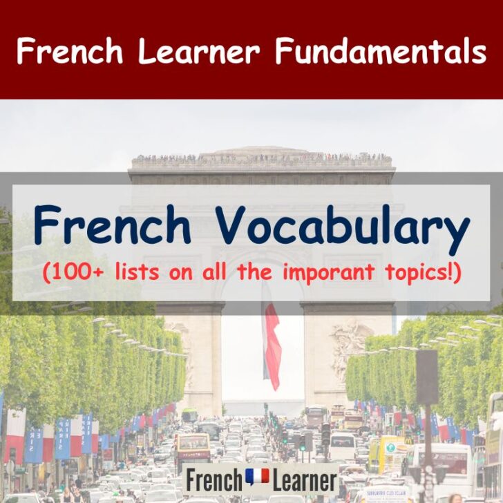 French Vocabulary: 100 Lists For Beginners + Learning Tips