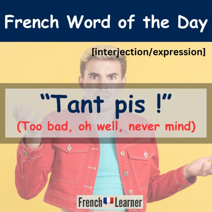 Tant Pis Meaning & Translation – Too bad, oh well in French