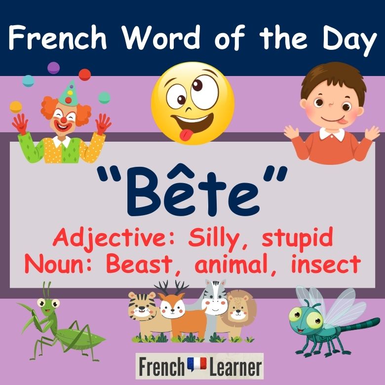 Bête = Silly, stupid, animal, beast or insect in French.