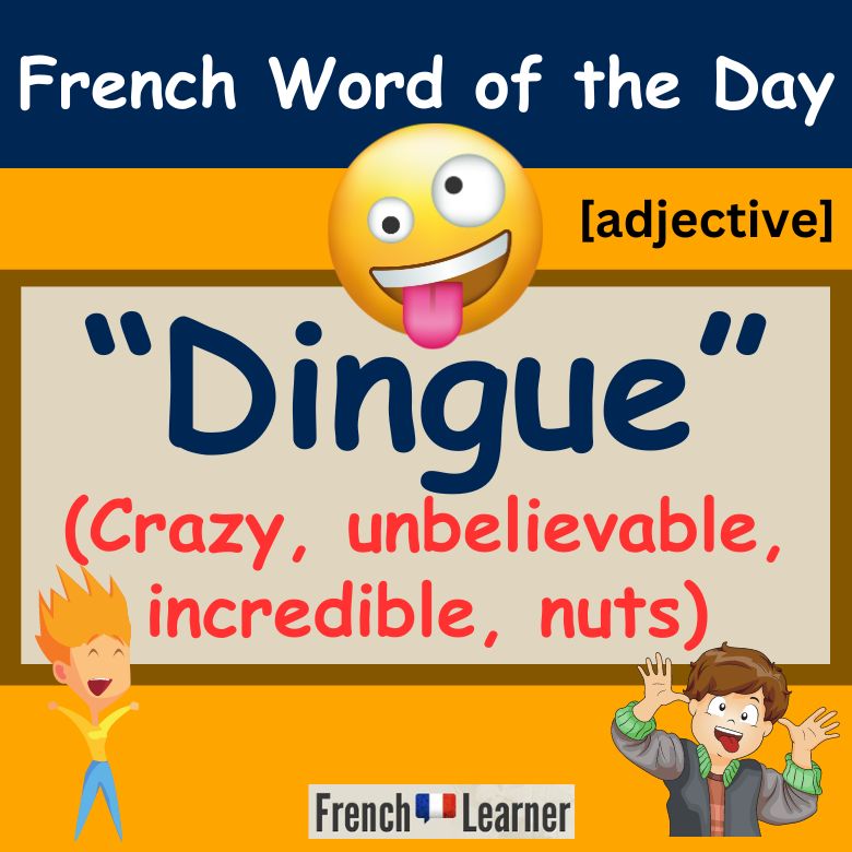 Word of the Day: Dingue (crazy, unbelievable, incredible, nuts)