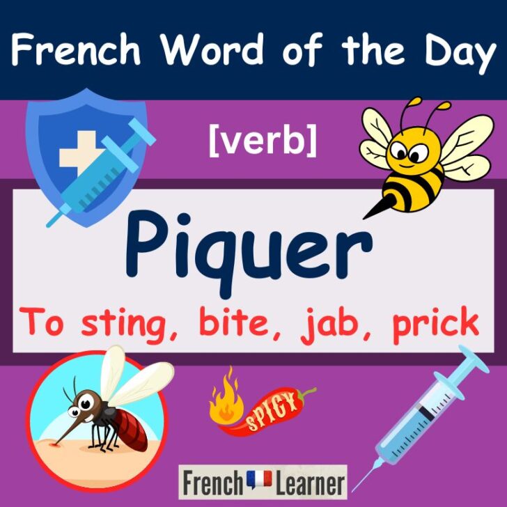 Piquer Meaning & Translation – To Sting, bite, jab in French