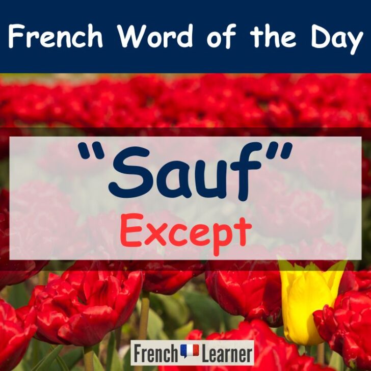Sauf – Meaning & Translation – Except in French