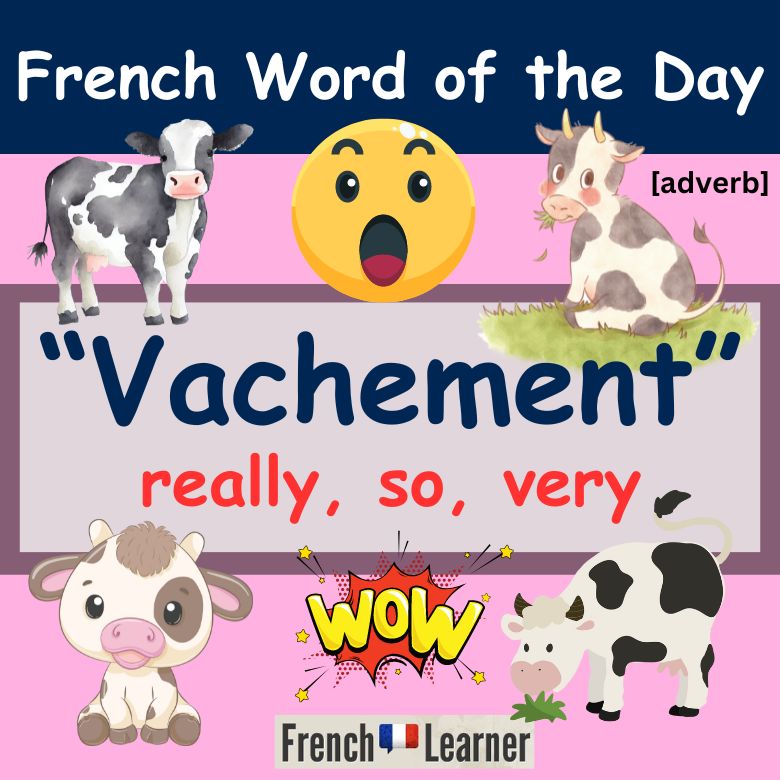 French lesson explaining the meaning of the adverb "vachement": really, so, very.