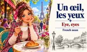 Un œil, les yeux – Eye, eyes – French noun