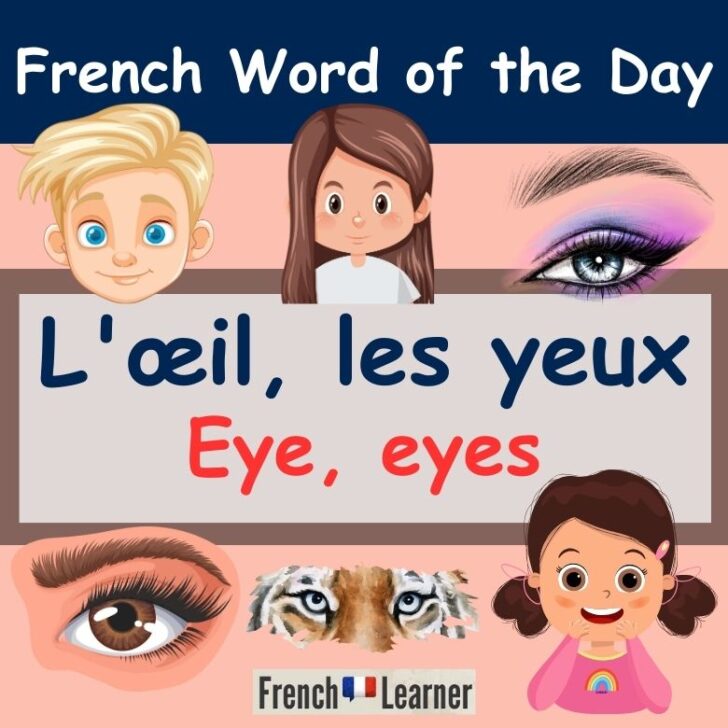 L’œil, les yeux pronunciation: How to say eye/eyes in French