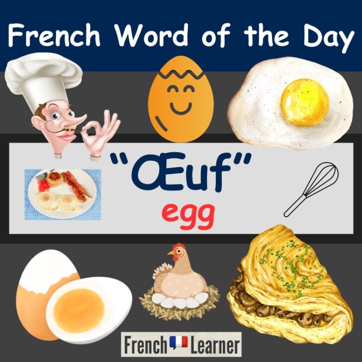 Œuf – How to say and pronounce egg in French