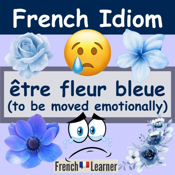French Idiom “Être Fleur Bleue” (Meaning & Translation)