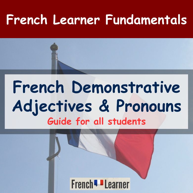 French Demonstrative Adjectives & Pronouns