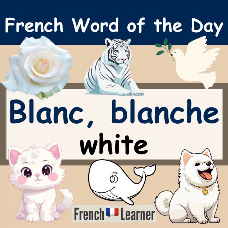 Blanc, Blanche – How To Say White In French