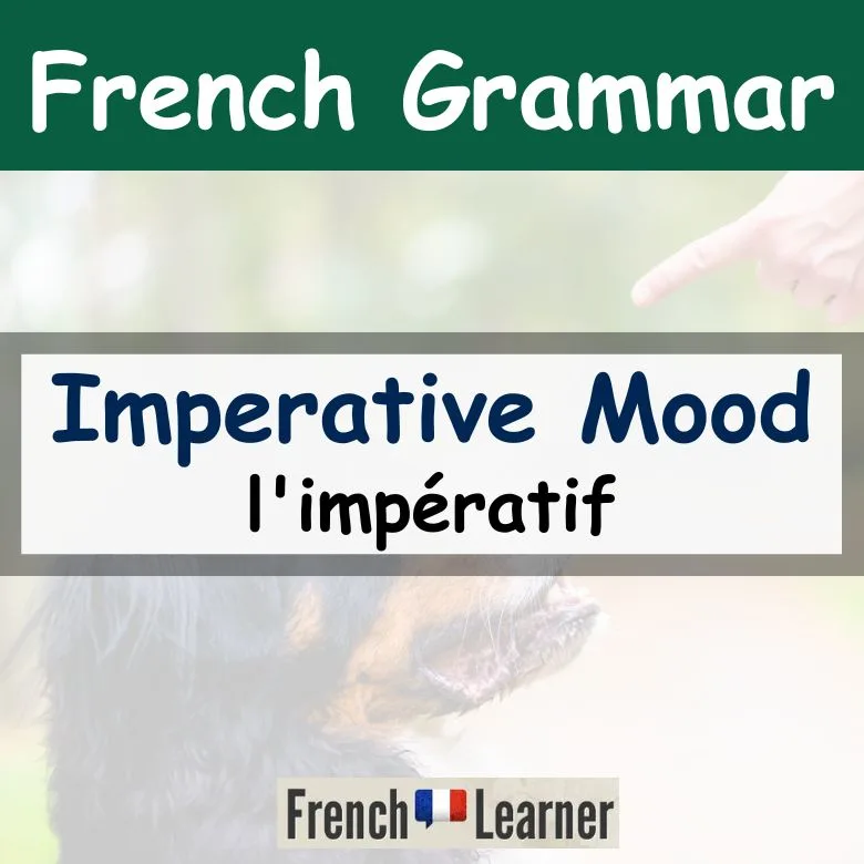 French Imperative Mood