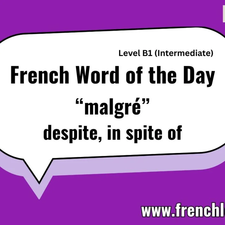 Malgré (Despite, in spite of)