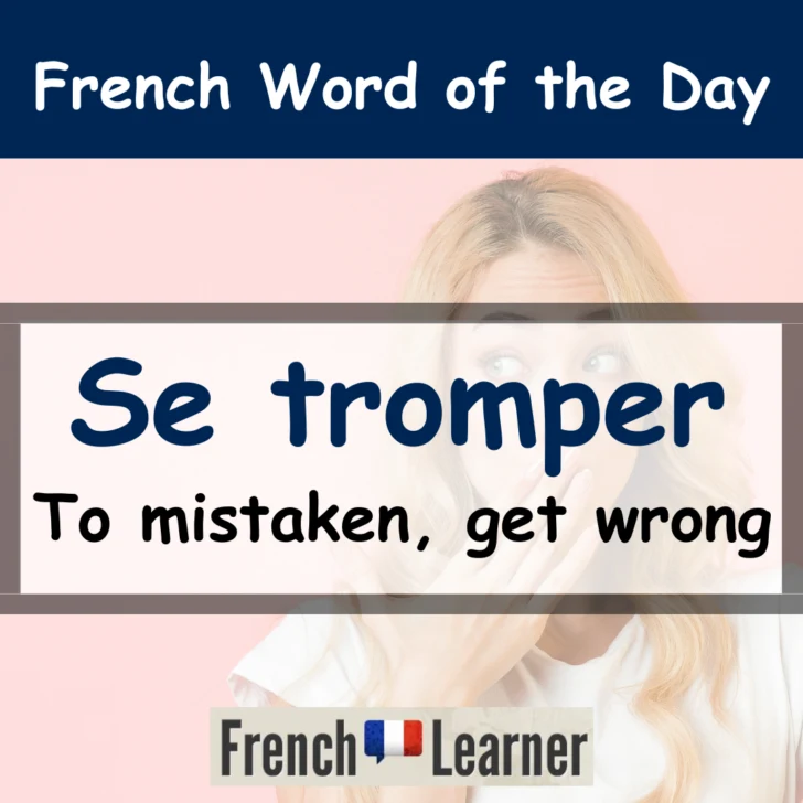 Se tromper &ndash; To mistaken, get wrong