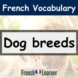 French dog breeds