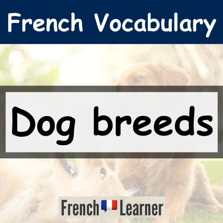 Dog breeds