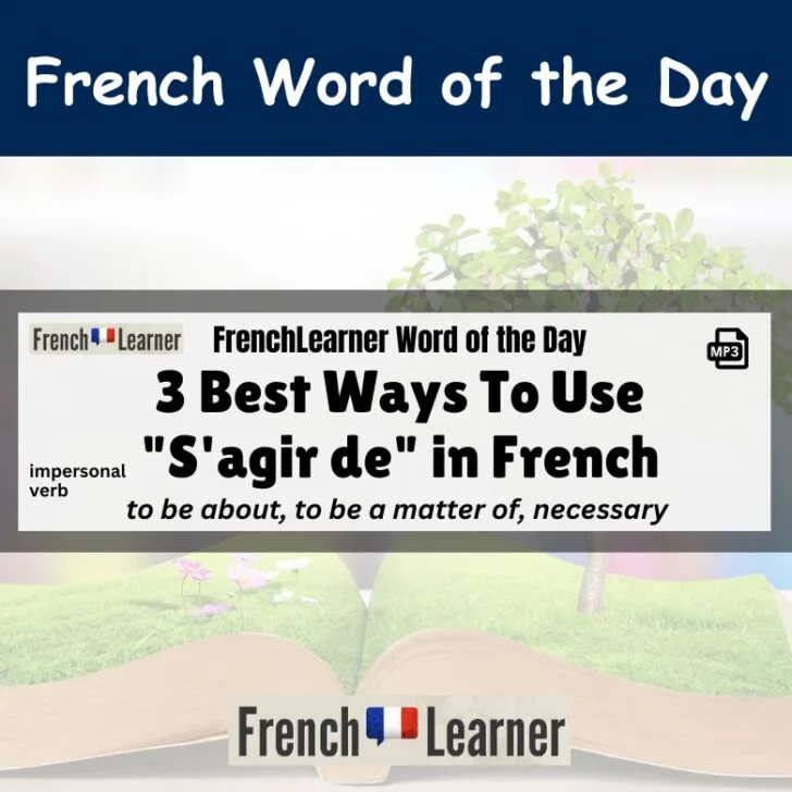3 Best Ways To Use &ldquo;S&rsquo;agir de&rdquo; in French