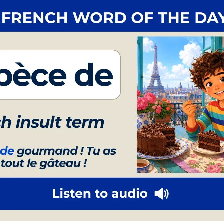 Esp&egrave;ce de &mdash; How to insult somebody in French