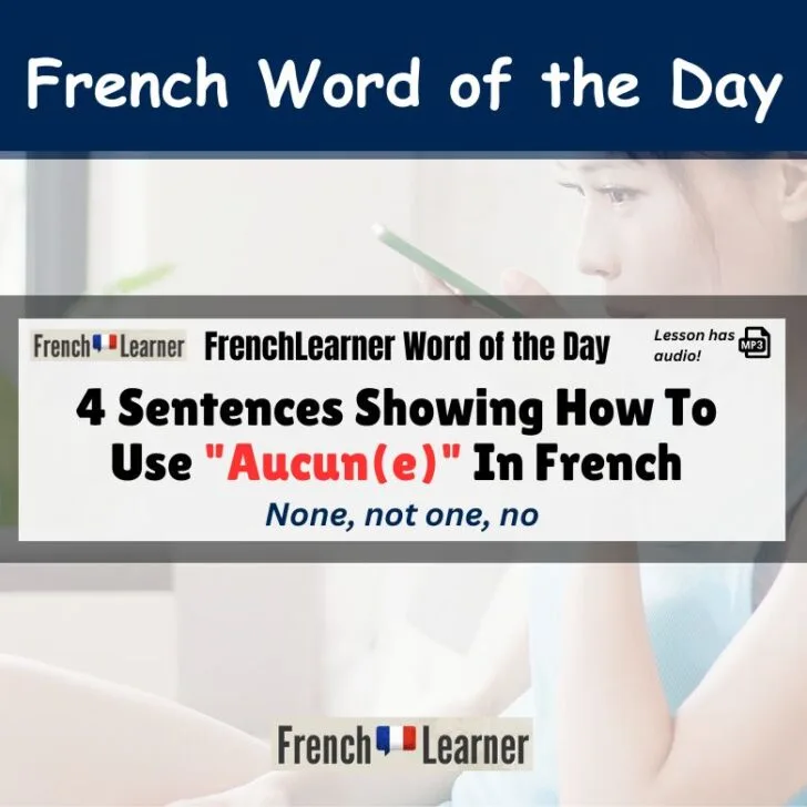 4 Sentences Showing How To Use “Aucun” In French