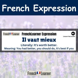 Il vaut mieux - You had better, you should do, it's best if you.