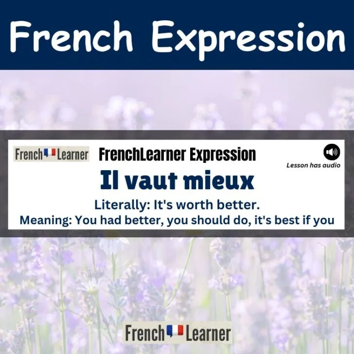 Il vaut mieux (You had better)