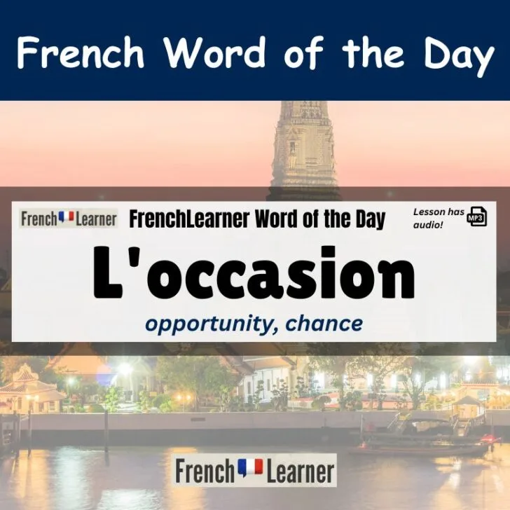 How To Use The Word “L’occasion” In French