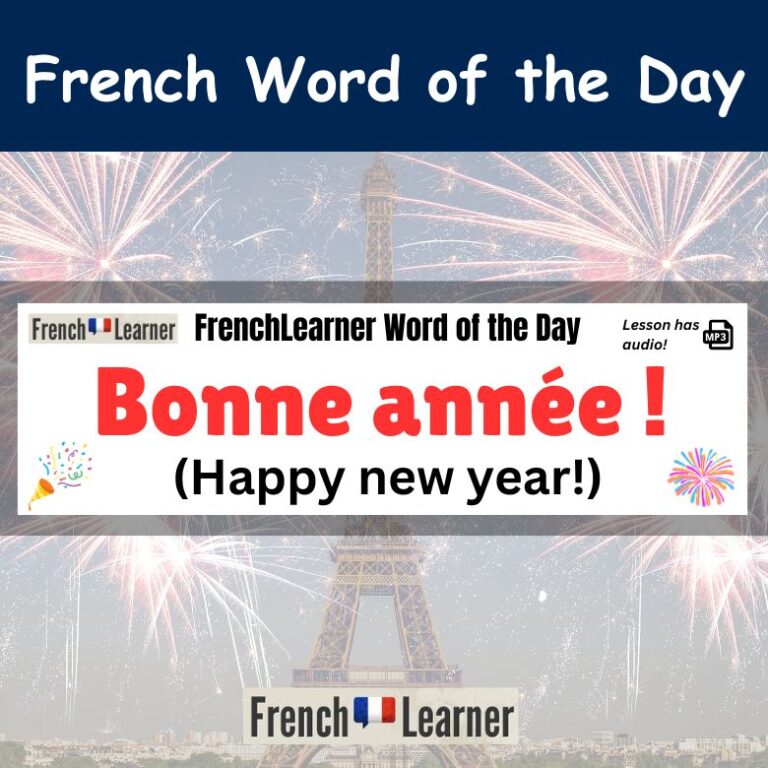 Bonne année Happy New Year In French FrenchLearner