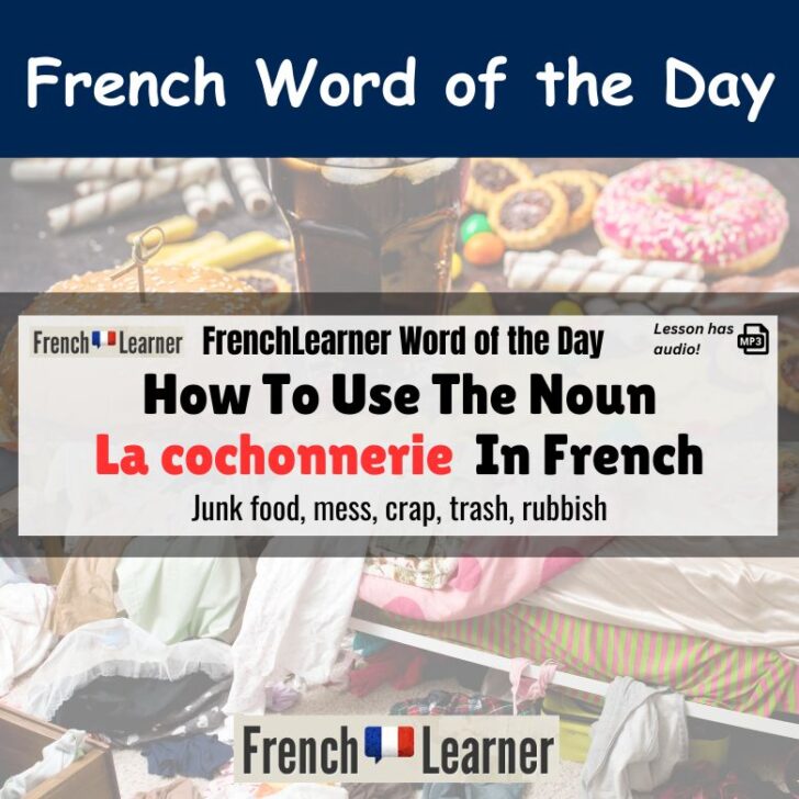 How To Use The Slang Word “Cochonnerie” (Junk food) In French