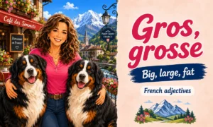 Gros, grosse – Big, fat, large – French adjectives – French Word of the Day