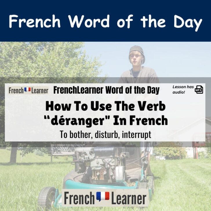 Déranger – to bother (Example sentences)