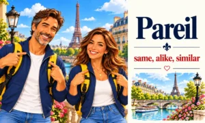 Pareil – Same, alike, similar