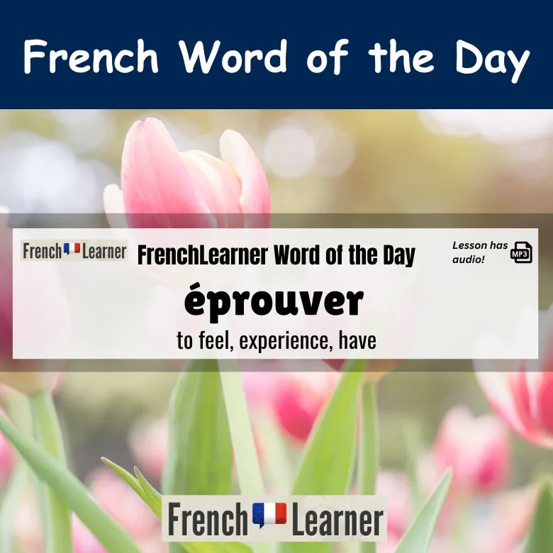 Éprouver - French verb meaning to feel, experience and to have.