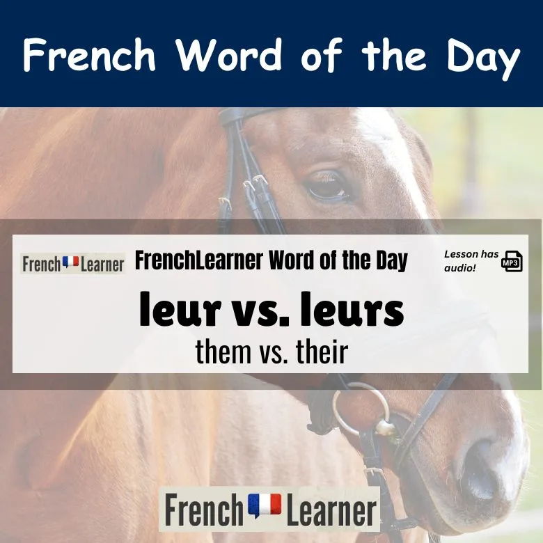 French lesson explaining how to use "leur" (them, their).
