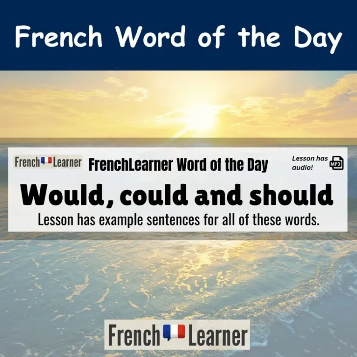 Would, could and should in French