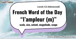 French Word of the Day “l’ampleur (m)” scale, size, extent, magnitude, scope