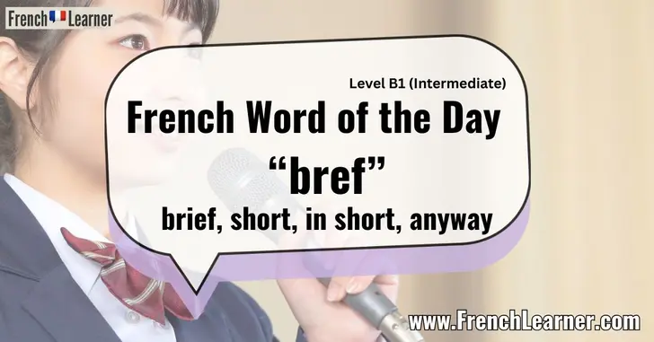 French Word of the Day “bref” brief, short, in short, anyway