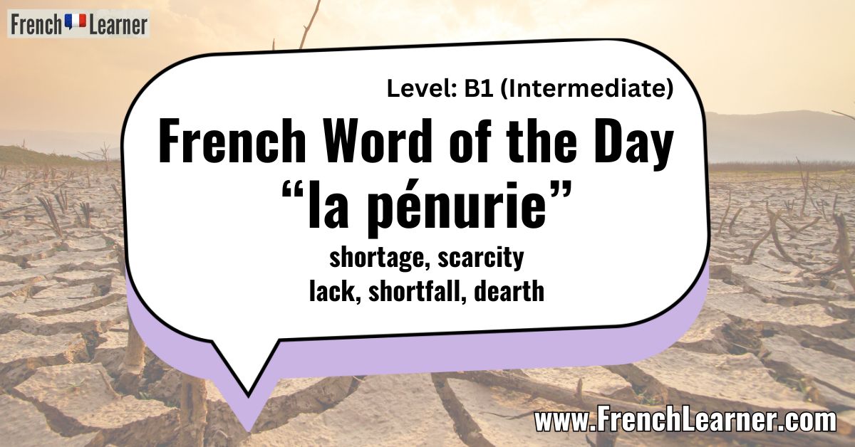 La Pénurie (Shortage, Scarcity) - French Word of the Day