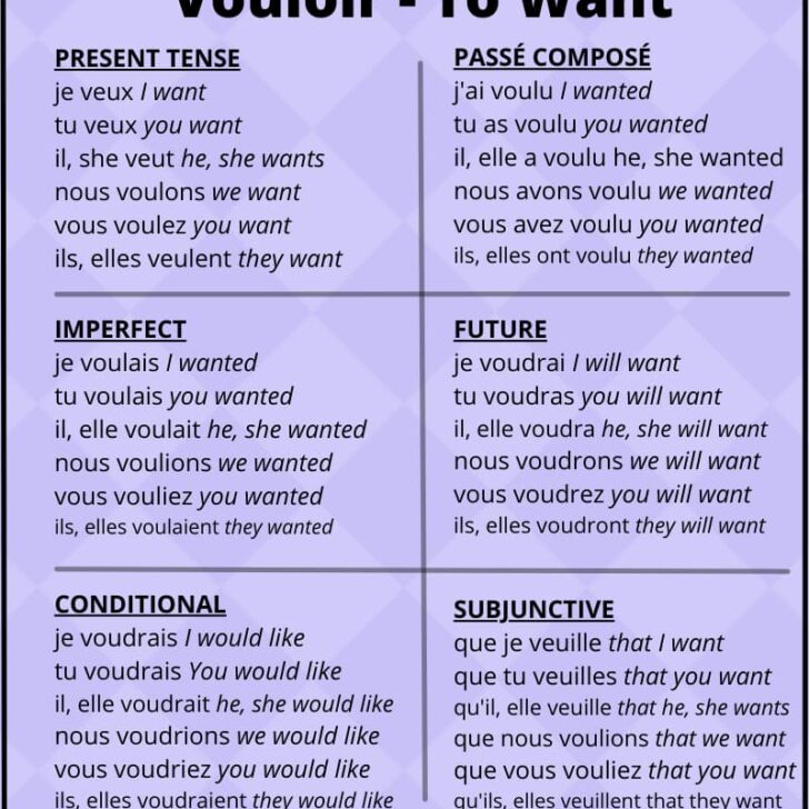 Vouloir (To Want) Conjugation in French: All Forms Explained