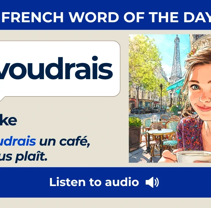 Je voudrais &mdash; Meaning, Pronunciation, and Examples in French