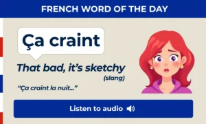 French word of the day β Γ§a craint β that's bad, it's sketchy