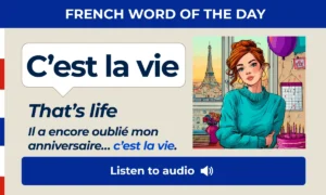 French Word of the Day β C'est la vie β That's life