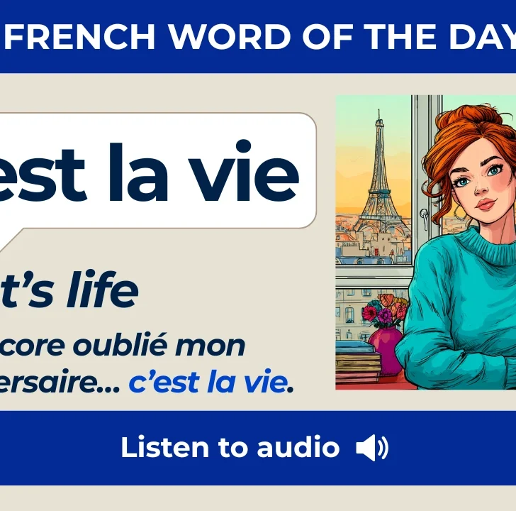 C’est la vie — Meaning, Pronunciation, and Examples in French