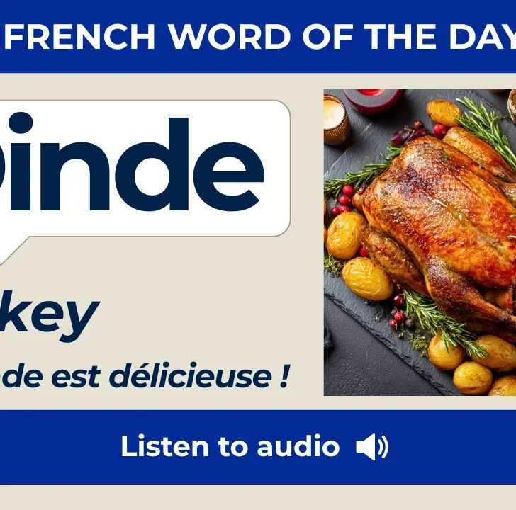 Dinde &mdash; Meaning, Pronunciation, and Examples in French