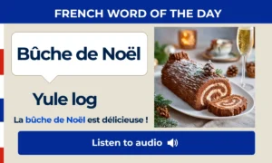 Bûche de Noël – Yule log – French Word of the Day