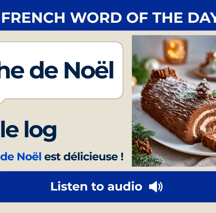B&ucirc;che de No&euml;l &mdash; Meaning, Pronunciation, and Examples in French