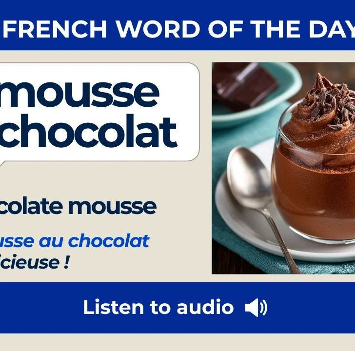 Mousse au chocolat — Meaning, Pronunciation, and Examples in French