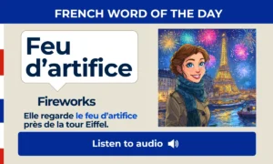 Feu d'artifice – Fireworks – French Word of the Day