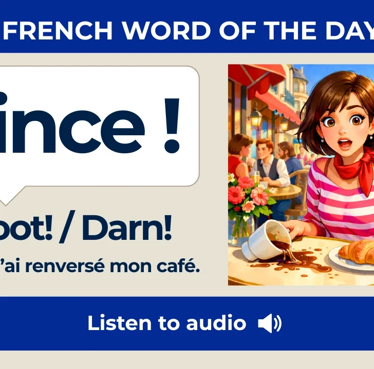 Mince &mdash; Meaning, Pronunciation, and Examples in French